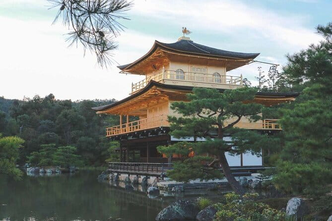 Guided Kyoto City Cherry Blossom One Day Private Tour - Why this Kyoto cherry blossom private day tour feels efficient