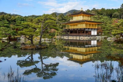 Guided Kyoto City Cherry Blossom One Day Private Tour