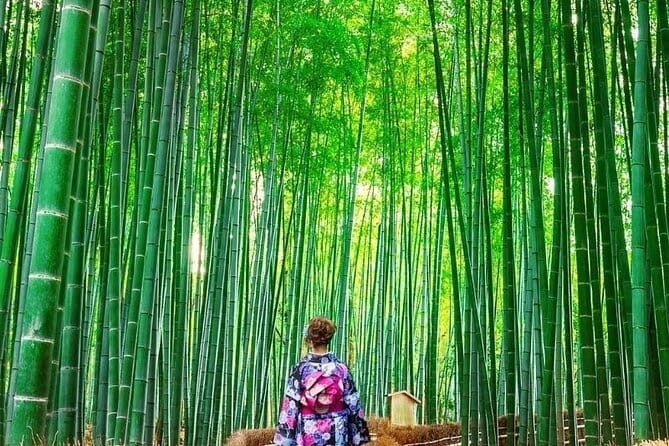 Guided Kyoto City Cherry Blossom One Day Private Tour - Stop 3: Kiyomizu-dera Pure Water Temple, for views and ritual details
