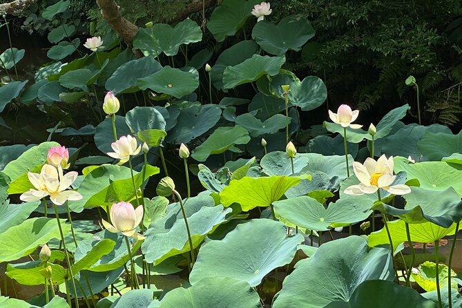 Guided Walking Tour in Kyoto - Quick highlights