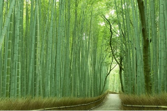 Half Day Kyoto Sagano Bamboo Grove & Arashiyama Walking Tour - Sagano bamboo grove, the calm you can actually feel