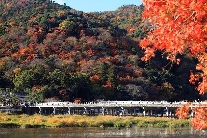 Half Day Kyoto Sagano Bamboo Grove & Arashiyama Walking Tour - Jojakko-ji: hillside views, Heike-era storytelling, and small treasures