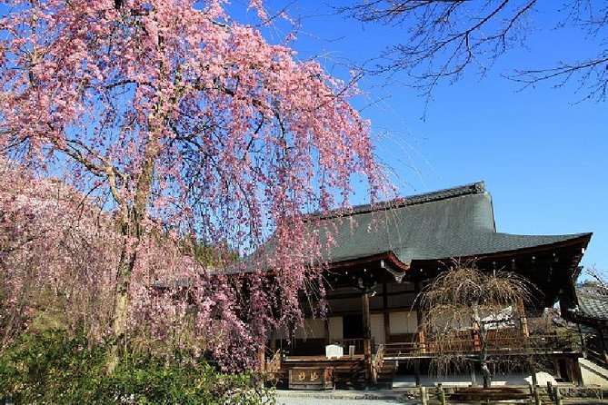 Half Day Kyoto Sagano Bamboo Grove & Arashiyama Walking Tour - Togetsukyo Bridge and yakatabune: the best break in the middle