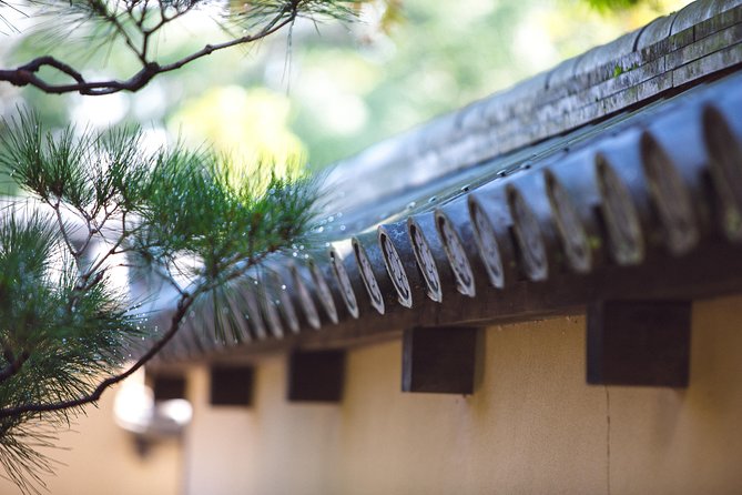 Hidden Kyoto E-Biking tour - NORU Kyoto Bike Tours and what “small group” means in practice