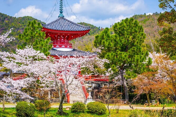 Hidden Temples in Kyoto a Self-Guided Zen Tour - Key Points Worth Your Time