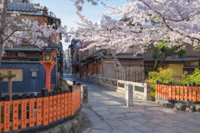 Higashiyama | Kyoto: Sakura Season Private Rickshaw Tour