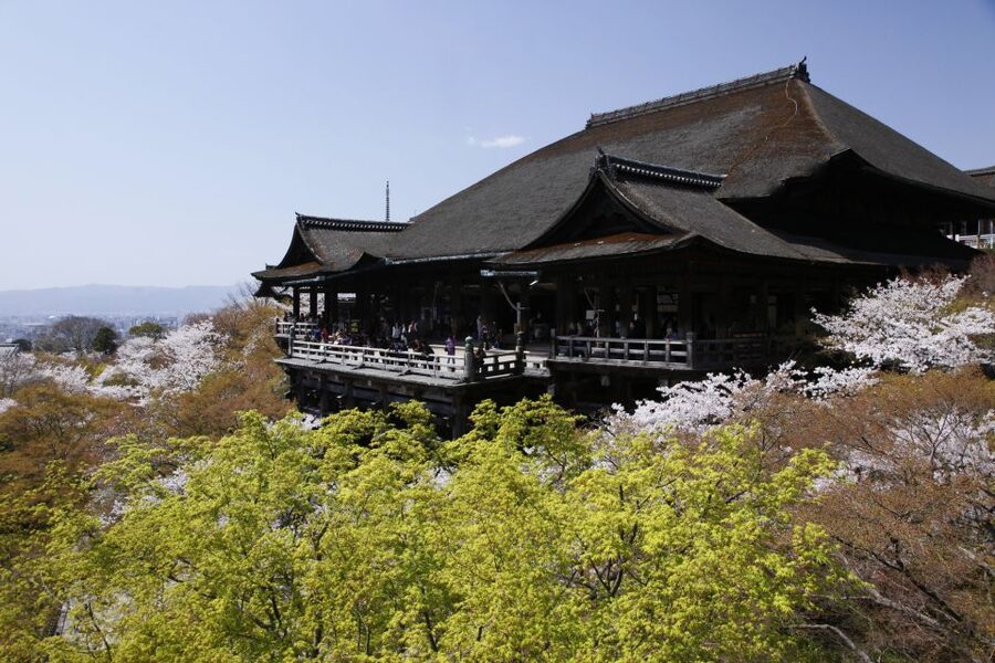 Higashiyama | Kyoto: Sakura Season Private Rickshaw Tour - Guides in English (and why their details matter more than you think)