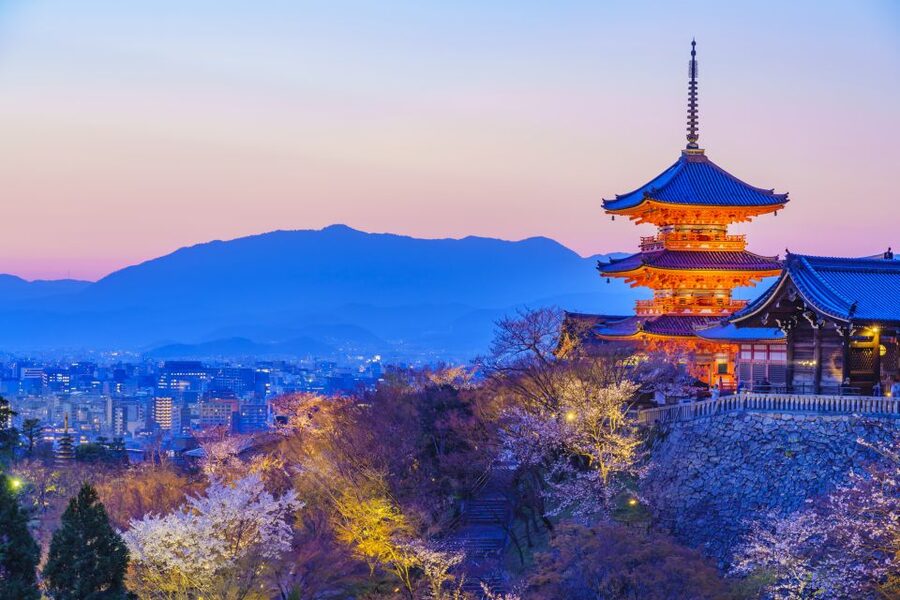 Higashiyama | Kyoto: Sakura Season Private Rickshaw Tour - Price and value, what you are really paying for