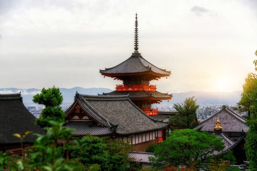 Higashiyama | Kyoto: Sakura Season Private Rickshaw Tour - The sakura bloom reality check (and how to handle it)