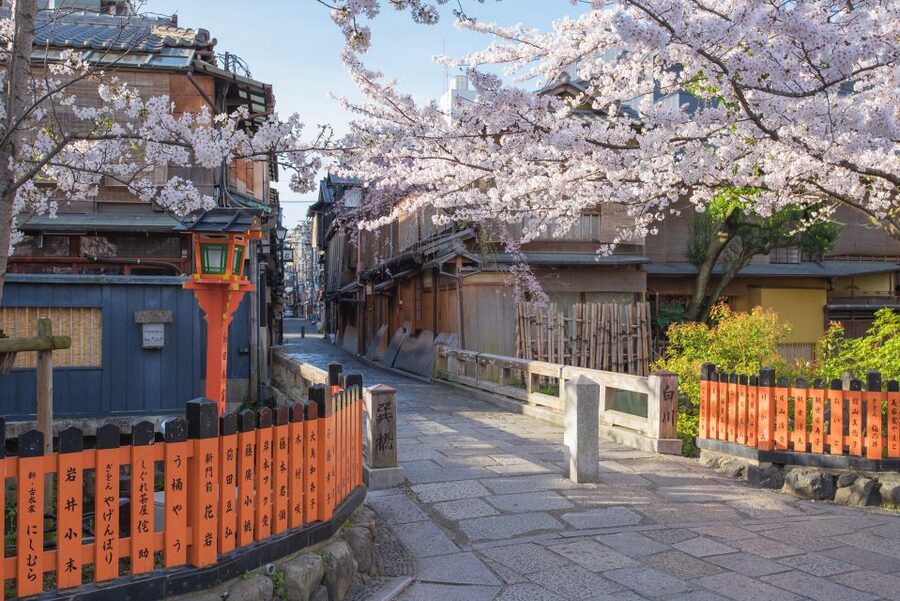 Higashiyama | Kyoto: Sakura Season Private Rickshaw Tour - Gliding through Higashiyama and into Gion, where cherry blossoms set the scene