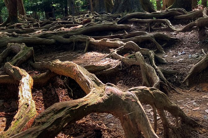 Hike and explore the Kurama and Kibune ancient Paths - The Forest Trail Between Kurama and Kibune: Cedar Shade, Steep Stairs, and Legends