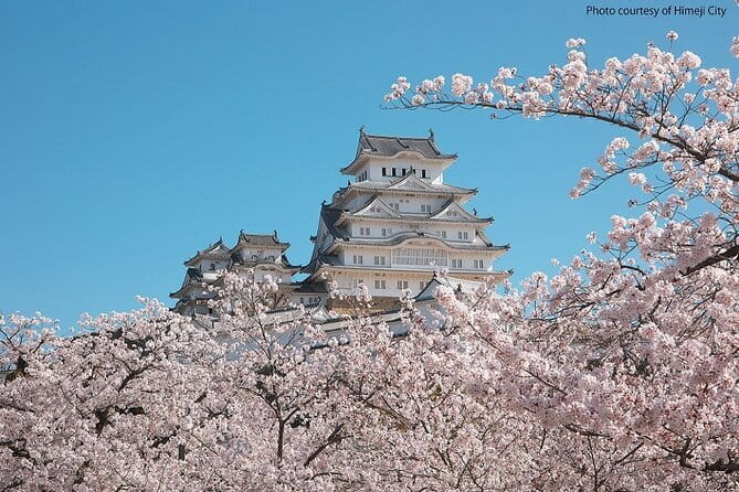 Himeji Castle and Akashi Kaikyo Bridge Walking Tour from Kyoto - Akashi Kaikyo Bridge Exhibition Center: small stop, big numbers