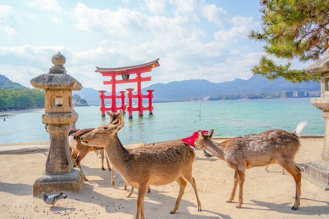 Hiroshima and Miyajima Full-Day Tour from Kyoto by Bullet Train - Price and Value: What $119 Gets You in Real Terms