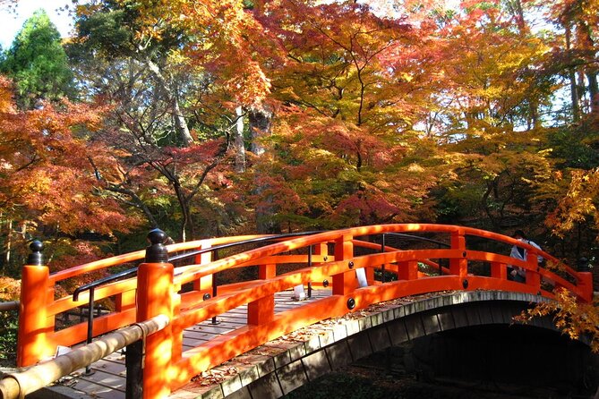 Historical Kyoto E-Bike Tour - The lunch break: plan for cash and local choices