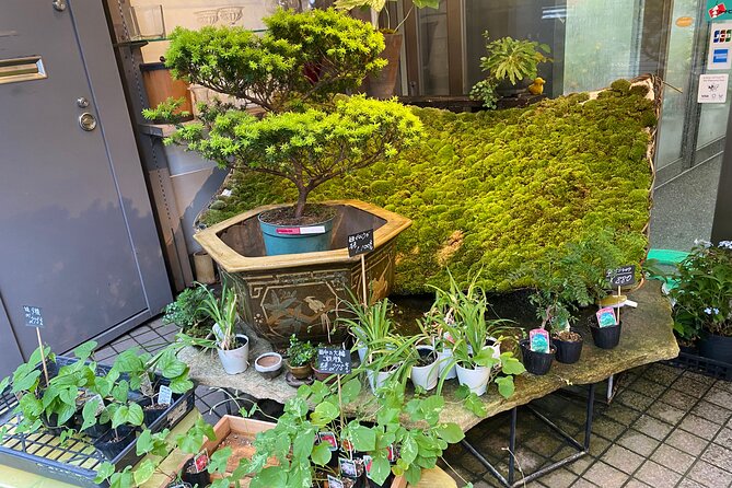Ikebana Experience Tour in Kyoto - Finding The Right Spot: Sanjo Station Start Time and Easy Access