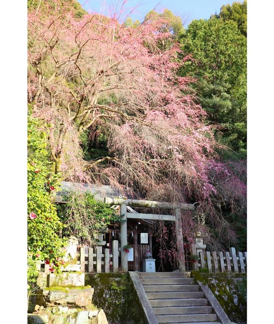 Kansai 10-hour chartered day trip｜Kyoto - Kinkakuji Temple: the classic reset button