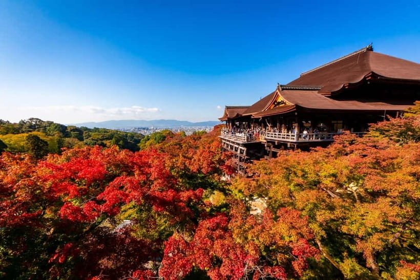 Kiyomizu Temple and Backstreet of Gion Half Day Group Tour - Walking and public transit: how to plan your half day