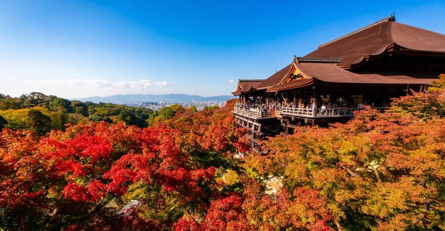 Kiyomizu Temple and Backstreet of Gion Half Day Group Tour - Sannenzaka and Ninenzaka photo stops, how to enjoy the lanes without sprinting