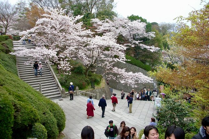 Kiyomizudera, Higashiyama and Yasaka Shrine Guided Walking Tour - Sannenzaka and Ninenzaka old-street strolls for snacks and photos
