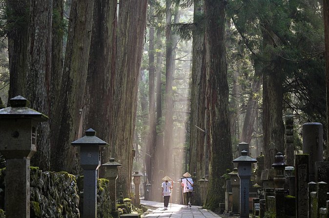 Koyasan Private Day Trip from Osaka or Kyoto with English Driver - Stop 4: Koyasan Reihokan Museum and the Byodoin-style entrance