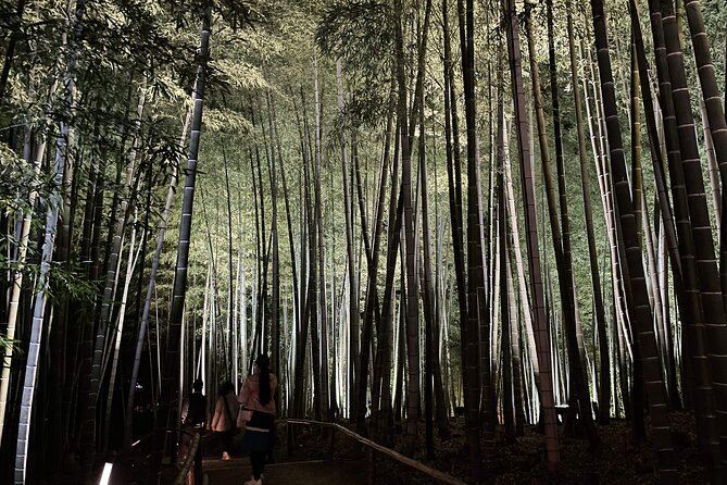 Kyoto 1 Day Golden Route Bus Tour - Fushimi Inari-taisha: the torii steps are a slow-burning highlight