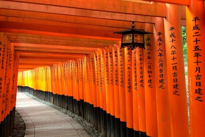 Kyoto 1 Day Golden Route Bus Tour - Tenryu-ji and Arashiyama bamboo: where the walking makes the magic