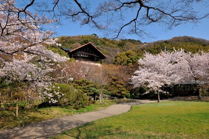 Kyoto 1 Day Suntory Yamazaki Distillery Tour and Asahi Art Museum - Timing and Schedule You Can Actually Use (Meet, Tour, Museum, Finish)