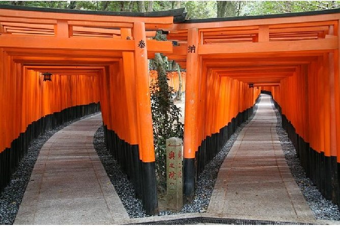 Kyoto 1 Day Tour from Kyoto - Logistics that matter: timing, lunch choices, and group-day energy