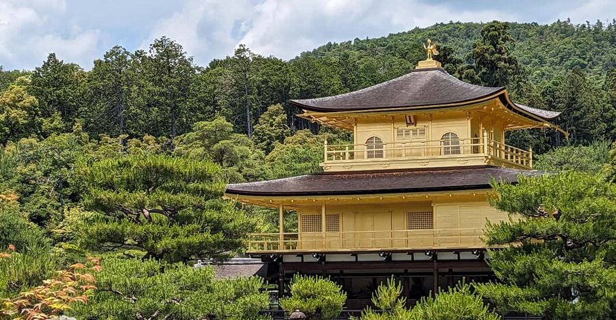 Kyoto: 100% Private Custom Walking Tour (4/8 Hrs) - Key things to know before you book