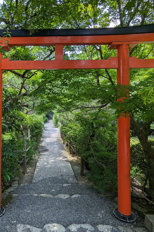 Kyoto: 100% Private Custom Walking Tour (4/8 Hrs) - Pickup, timing, and the yellow sign method