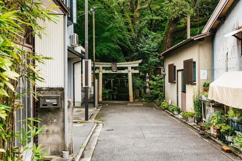 Kyoto: 3-Hour Fushimi Inari Shrine Hidden Hiking Tour - The uphill viewpoint rhythm, plus what you should watch for