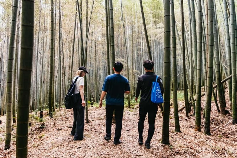 Kyoto: 3-Hour Fushimi Inari Shrine Hidden Hiking Tour - The return down forest trails and the second bamboo grove