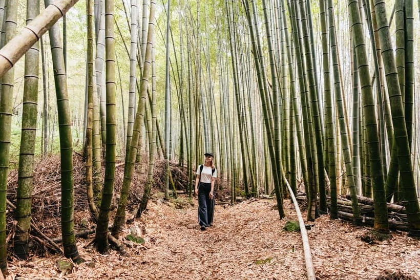 Kyoto: 3-Hour Fushimi Inari Shrine Hidden Hiking Tour - Getting started at Tofukuji, and why the meeting point matters