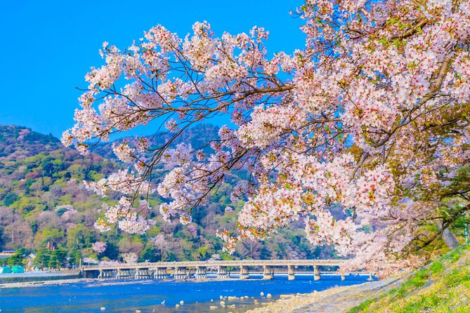 Kyoto 6hr Instagram Highlights Private Tour with Licensed Guide - Price and Value: Is $154.37 Per Person a Smart Move?