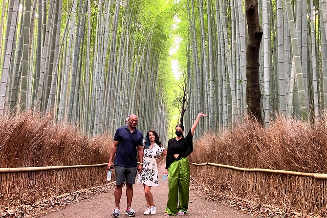 Kyoto 8hr Private Tour with Government-Licensed Guide - Arashiyama and the bamboo circuit: the classic west-side payoff