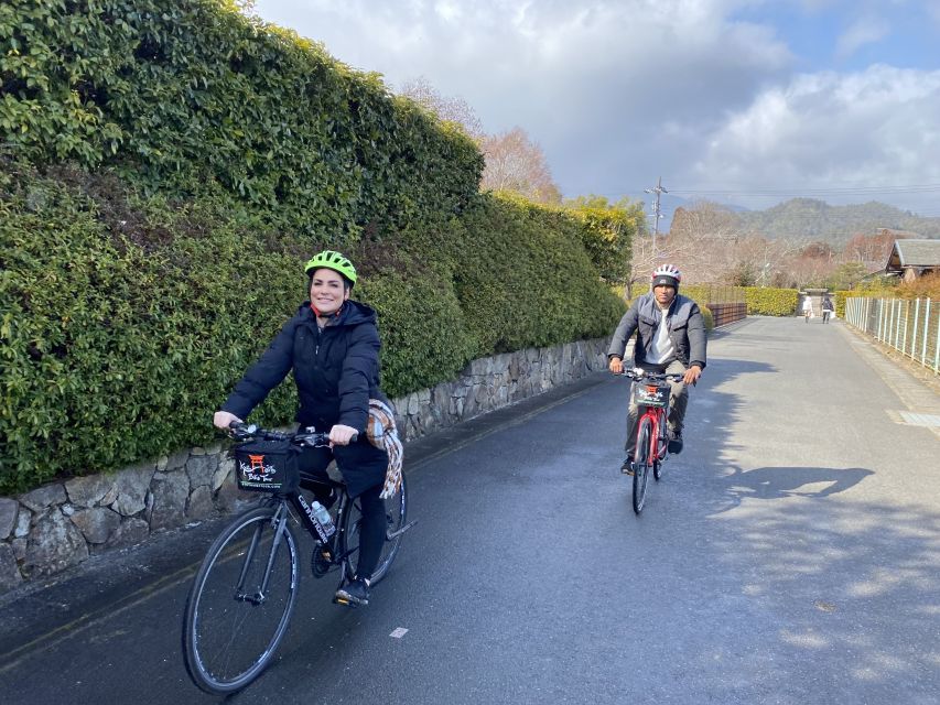 Kyoto: Afternoon Bamboo Forest and Monkey Park Bike Tour - Value check: is $106 worth it for this afternoon?