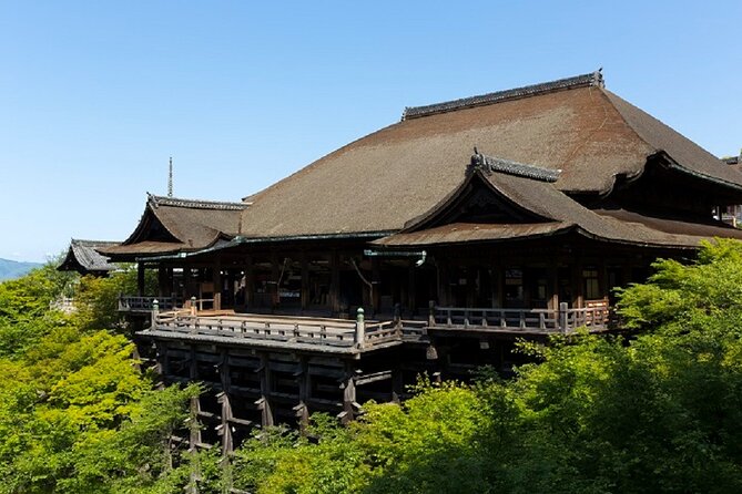 Kyoto Afternoon Tour from Kyoto or Osaka - Photo stops and crowd reality: what you should do
