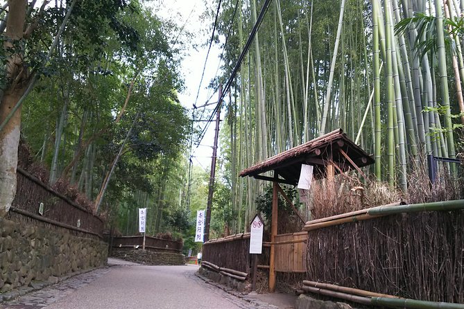 Kyoto and Nara 2-Day Tour: Golden Pavilion, Todaiji, Deer Park - Is This Kyoto and Nara 2-Day Tour Good Value?
