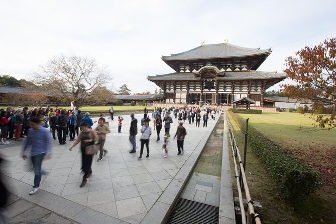 Kyoto and Nara Day Trip from Kyoto - Kyoto Imperial Palace: Shishin-den and ceremony without the full palace access