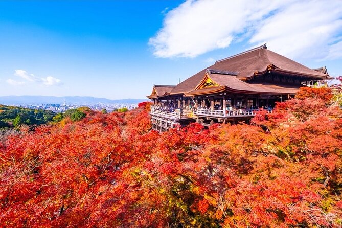Kyoto and Nara Private Car Tour with a Local English Guide Driver - Arashiyama: Bamboo Forest, Tenryu-ji, and Togetsukyo Bridge in one sweep