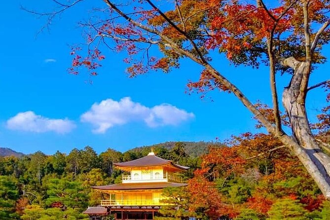 Kyoto and Nara Private Customizable Day Trip by Luxury Car - Kyoto morning ideas: Golden Pavilion, Kiyomizu-dera, and Gion