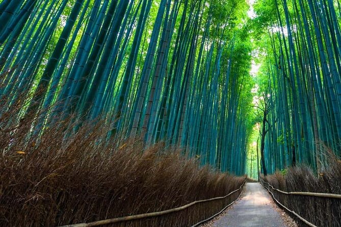 Kyoto and Nara Private Customizable Day Trip by Luxury Car - Timing, comfort, and what the 9 hours really means