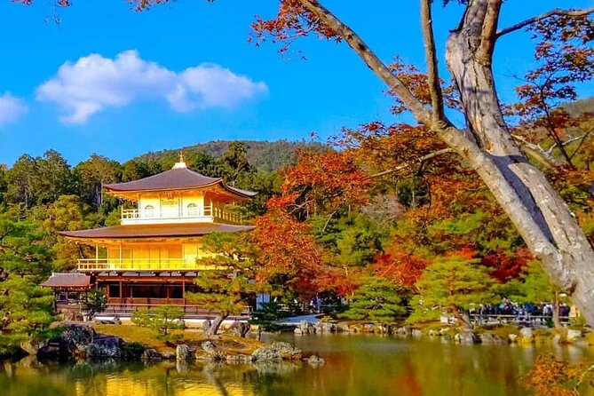 Kyoto and Nara Private Customizable Day Trip by Luxury Car - Customizable itinerary: how to plan it so it feels effortless