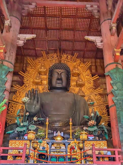 Kyoto and Nara: Private Customized Tour with Guide & vehicle - A 10-Hour Kyoto and Nara Plan That Actually Feels Doable