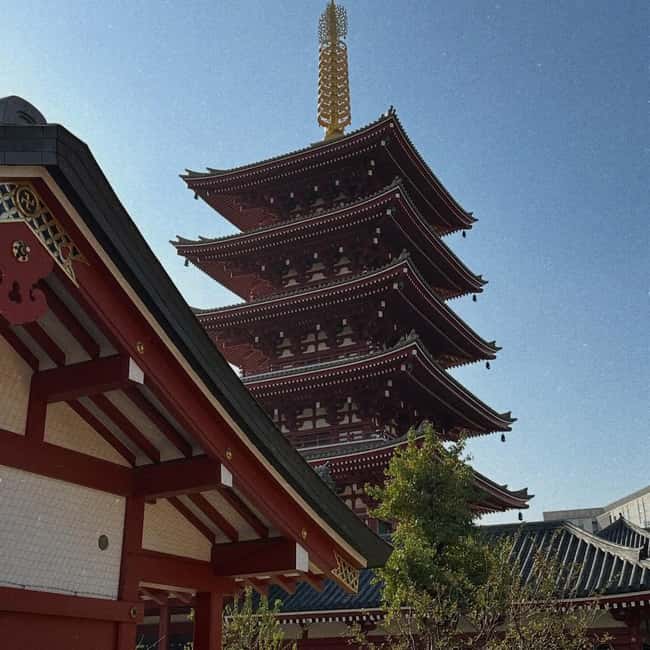 Kyoto and Nara: Private Customized Tour with Guide & vehicle - Golden Pavilion and Zen Gardens: The Kyoto Moment People Remember