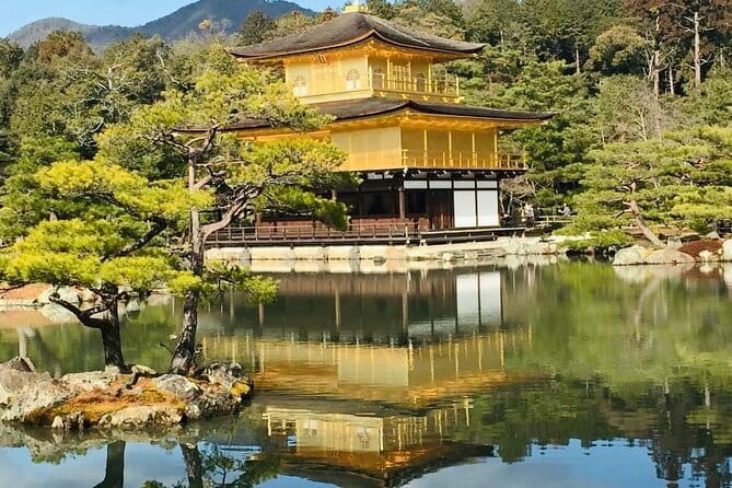 KYOTO and NARA TOUR with FREE ENTRANCE FEE(DRIVER ONLY) - Key things to know before you go