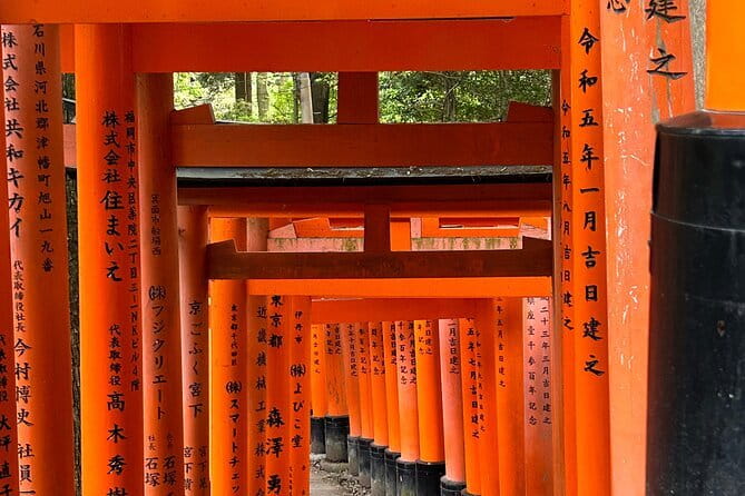 KYOTO and NARA TOUR with FREE ENTRANCE FEE(DRIVER ONLY) - Price and logistics: does this $293.53-per-person tour make sense?