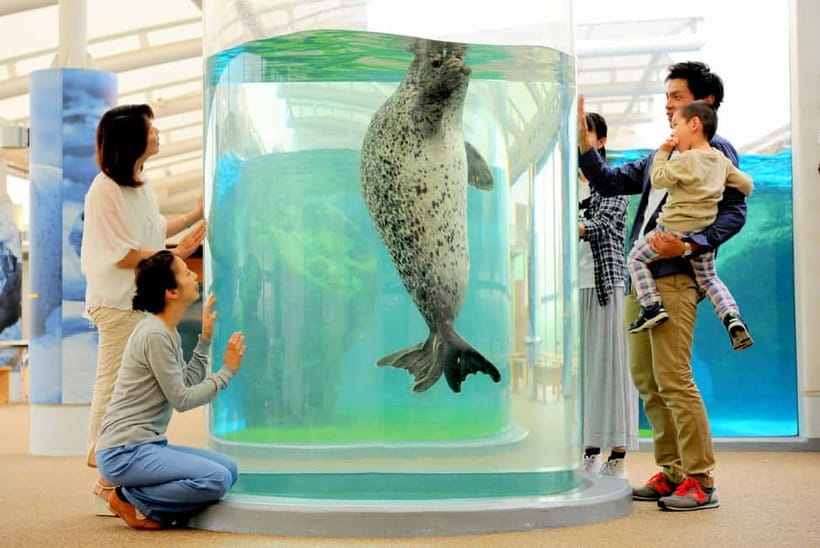 Kyoto Aquarium Admission Ticket - Kyoto Aquarium in Umekoji Park, a calm break from the city