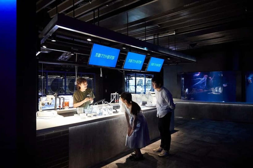 Kyoto Aquarium Admission Ticket - Practical tips: cameras, pets, and planning around one visit