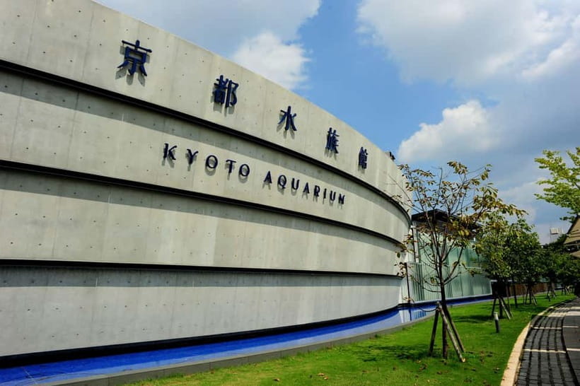 Kyoto Aquarium Admission Ticket - Penguins with personality, plus the fun of steady observation